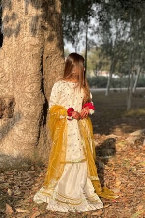 Mahoor Collection MK-264304